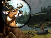 Deer Hunter Game Online