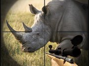 Wild Rhino Hunter Game Online