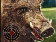 Boar Hunting Jigsaw Game Online