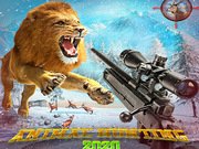 Wild Animal Hunting Game Online